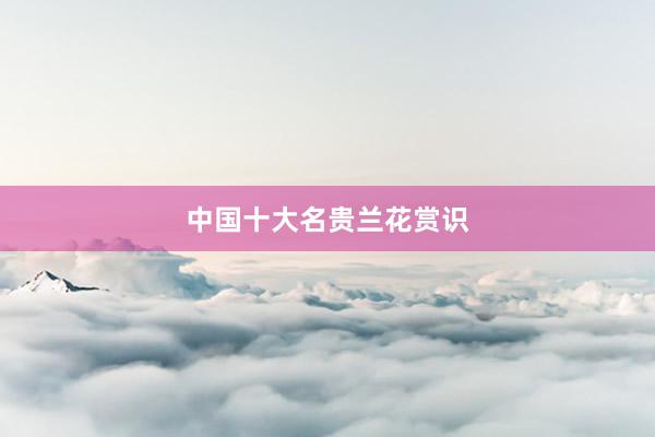 中国十大名贵兰花赏识